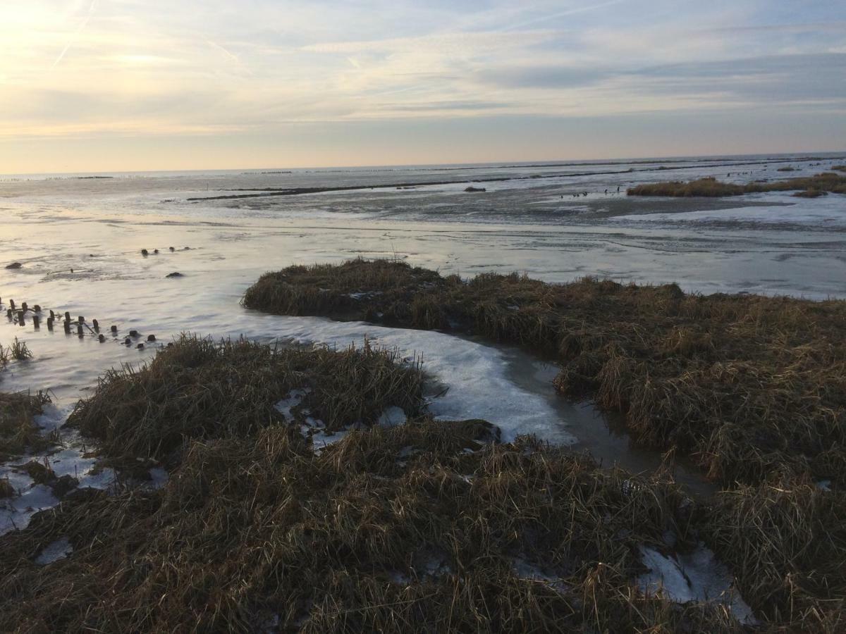 Appartamento Nordsee-peerhuus Friedrichskoog